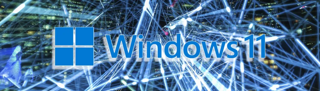 windows 11 pro