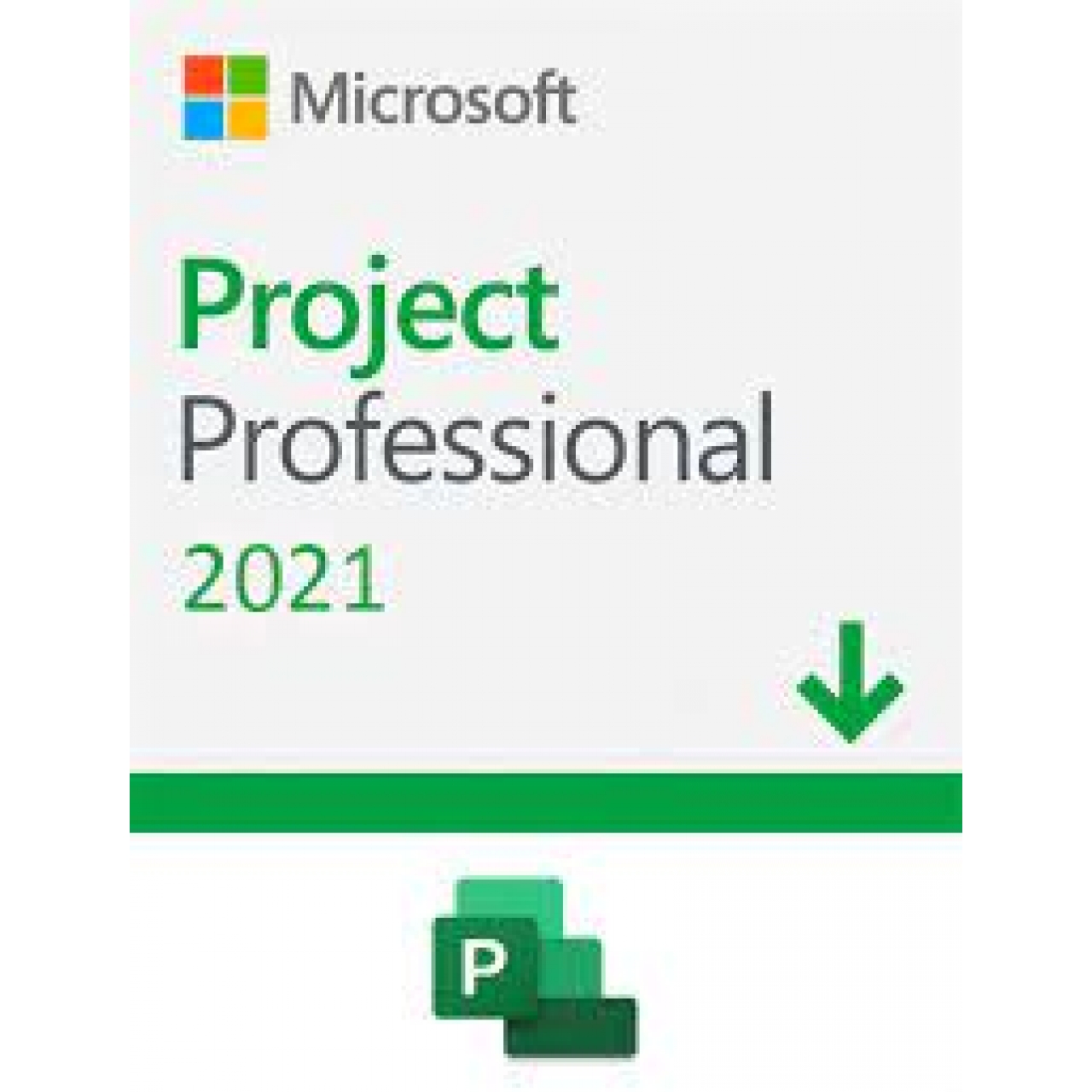 Project 2021 Professional - 1 PC - RETAİL KEY