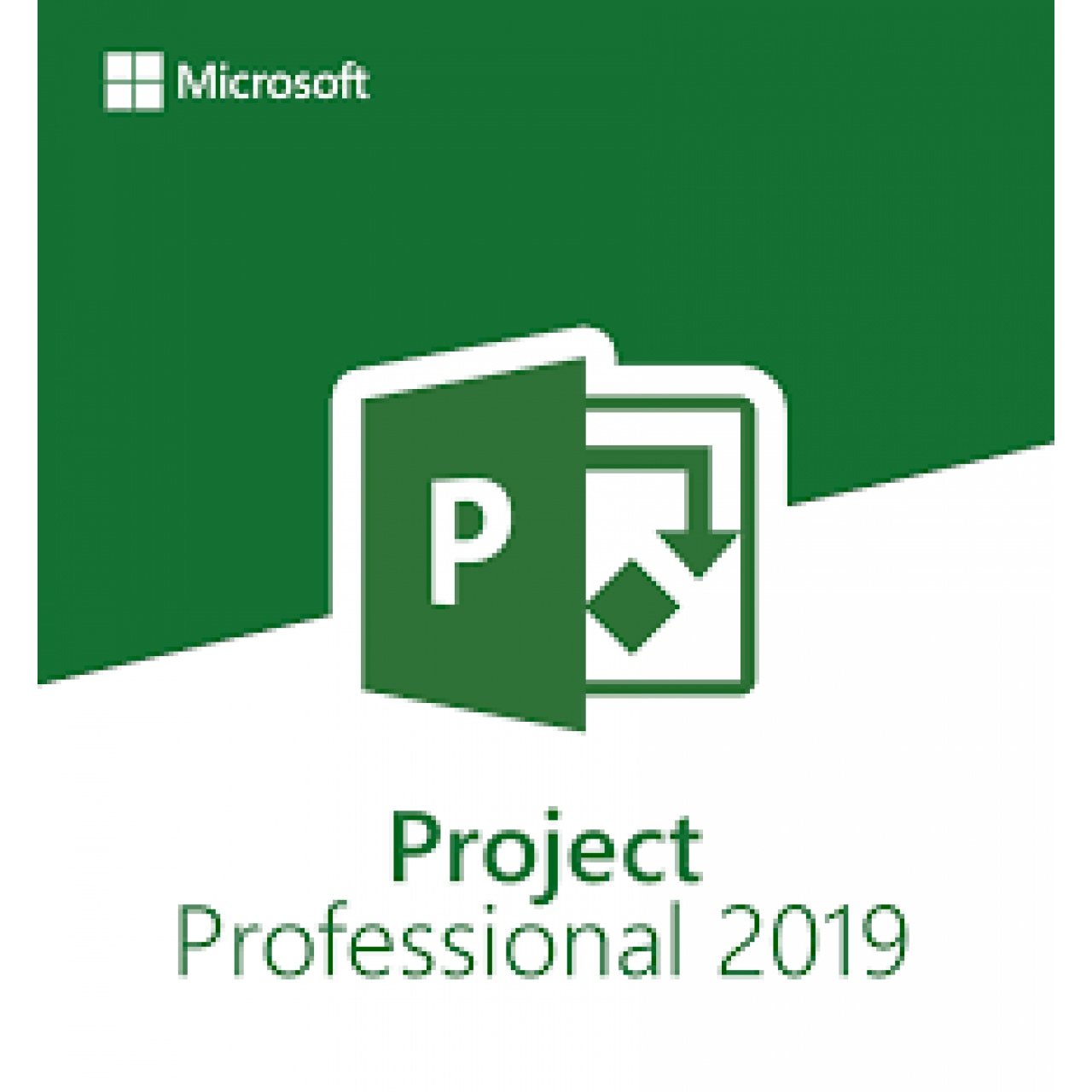 Project 2019 Professional - 1 PC - BIND KEY