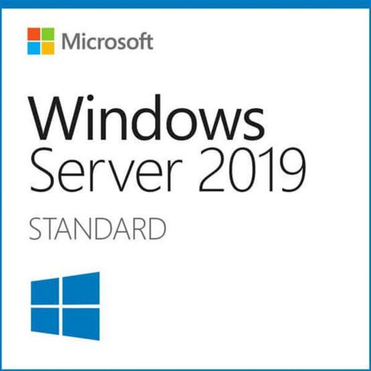 Windows Server 2019 Standard Dijital Lisans