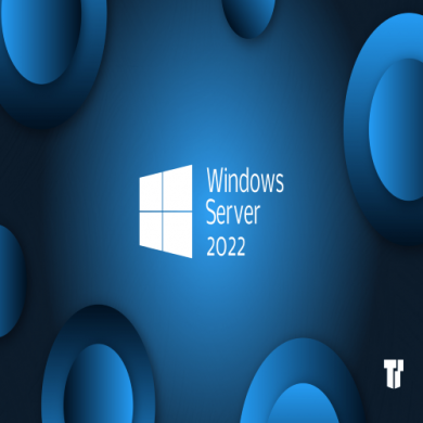 Windows Server 2022 Standard Dijital Lisans